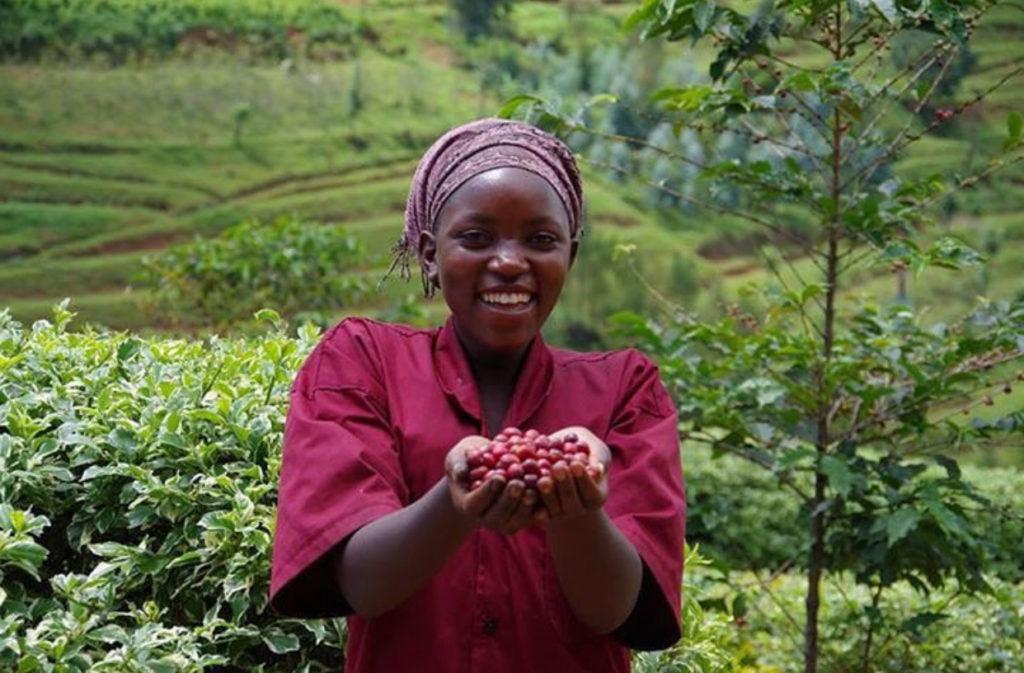 Rwanda Single Origin (Suitable For Espresso) | DOCKYARDCOFFEE